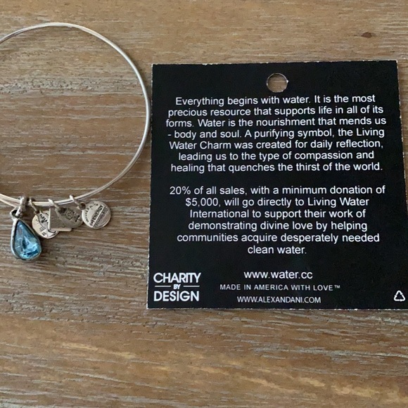 Alex and Ani bracelet Living Water - Picture 4 of 5